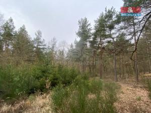 Prodej lesa, Miloňovice - Sudkovice, 2768 m2