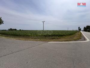 Prodej pole, Prostějov - Žešov, 8491 m2