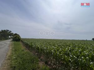 Prodej pole, Prostějov - Žešov, 8491 m2