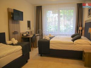 Prodej ubytování, Český Krumlov - Plešivec, 5. května, 750 m2