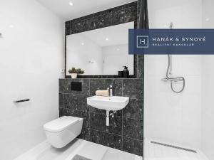 Pronájem bytu 1+kk, Brno, Cejl, 36 m2