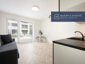 Pronájem bytu 1+kk, Brno, Cejl, 29 m2