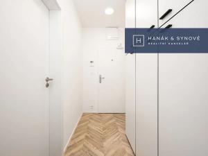 Pronájem bytu 1+kk, Brno, Cejl, 29 m2