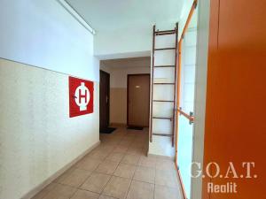 Prodej bytu 2+kk, Plzeň, náměstí Milady Horákové, 40 m2