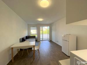 Pronájem bytu 1+kk, Olomouc, Wolkerova, 30 m2