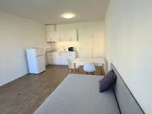 Pronájem bytu 1+kk, Olomouc, Wolkerova, 30 m2