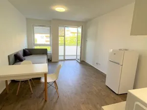 Pronájem bytu 1+kk, Olomouc, Wolkerova, 30 m2