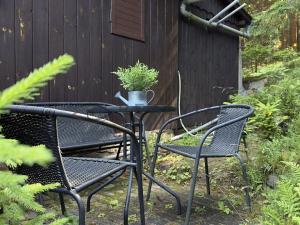 Prodej chaty, Borovnice, 75 m2