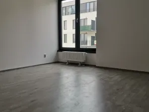 Pronájem bytu 2+kk, Plzeň, Železná, 71 m2