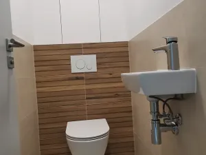 Pronájem bytu 2+kk, Plzeň, Železná, 71 m2