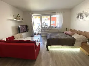 Pronájem bytu 1+kk, Slavkov u Brna, 29 m2