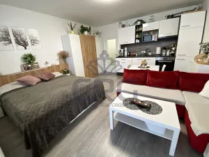 Pronájem bytu 1+kk, Slavkov u Brna, 29 m2