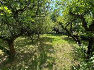 Prodej chaty, Luleč, 60 m2