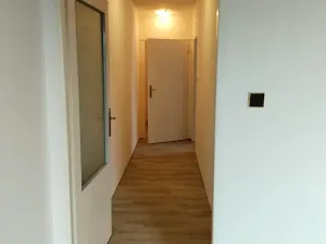 Pronájem bytu 1+1, Kozojedy, 48 m2