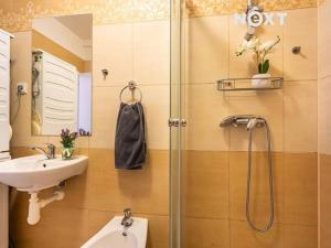 Prodej bytu 2+kk, České Budějovice, Riegrova, 43 m2