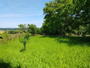 Prodej rodinného domu, Starkoč, 90 m2
