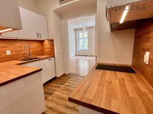 Pronájem bytu 1+1, Praha - Nové Město, Lublaňská, 40 m2