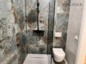 Pronájem bytu 1+1, Praha - Nové Město, Lublaňská, 40 m2
