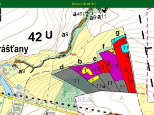 Prodej lesa, Chrášťany, 9048 m2