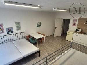 Pronájem bytu 1+kk, České Budějovice, Skuherského, 45 m2