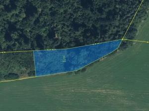 Prodej louky, Doubravice, 145881 m2