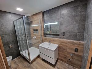 Pronájem bytu 2+1, Děčín, Plavební, 56 m2