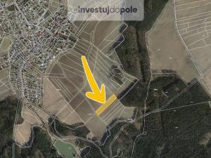 Prodej louky, Cheznovice, 7448 m2