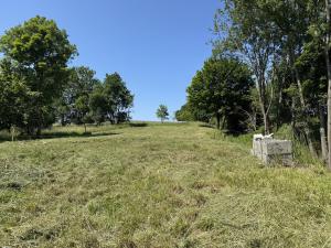 Prodej pozemku, Divišov - Křešice, 932 m2