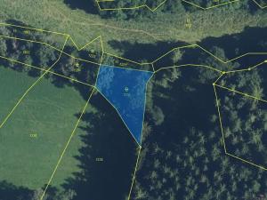 Prodej louky, Vilantice, 145881 m2