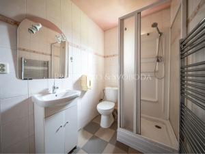 Prodej rodinného domu, Trhové Sviny, 379 m2