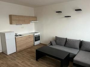 Pronájem bytu 2+kk, Liberec, Halasova, 45 m2