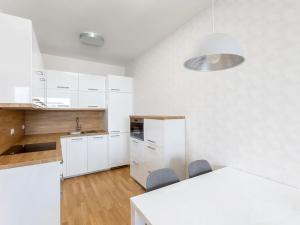 Pronájem bytu 2+kk, Praha - Holešovice, Argentinská, 52 m2