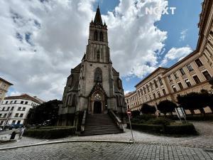 Pronájem kanceláře, Praha - Žižkov, Sladkovského náměstí, 245 m2