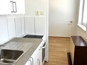 Pronájem bytu 2+1, Loučeň, Vlkavská, 44 m2