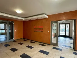 Pronájem bytu 1+kk, Praha, Ocelářská, 42 m2