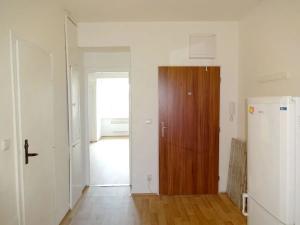 Pronájem bytu 1+1, Brno, Palackého třída, 55 m2