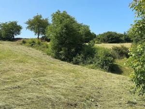 Prodej pozemku pro bydlení, Deblín, 2752 m2