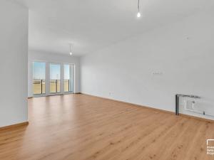 Prodej bytu 2+kk, České Budějovice, K. Šatala, 55 m2