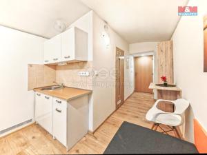 Pronájem bytu 1+kk, Hradec Králové - Kukleny, Pražská třída, 13 m2