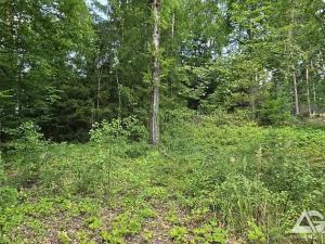 Prodej pozemku pro bydlení, Jevany, Ve Smrčinách, 1186 m2
