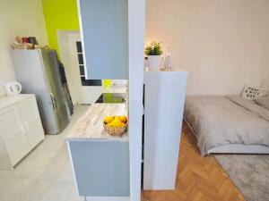 Pronájem bytu 1+1, Praha - Žižkov, Fibichova, 35 m2