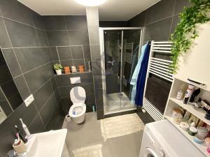 Pronájem bytu 1+kk, Slavkov u Brna, Zelnice II., 29 m2