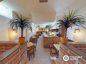 Pronájem restaurace, Brno, Hrnčířská, 350 m2