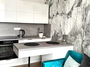 Pronájem bytu 1+kk, Písek, Vladislavova, 20 m2
