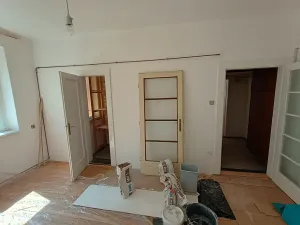 Prodej bytu 1+1, Praha - Nusle, U družstva Ideál, 55 m2