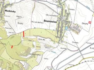 Prodej louky, Brumovice, 12205 m2