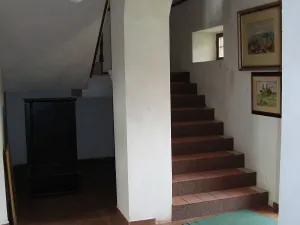 Prodej zemědělské usedlosti, Gruna, 851 m2