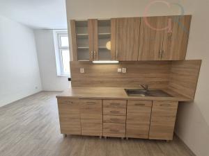 Pronájem bytu 2+kk, Plzeň - Vnitřní Město, Veleslavínova, 50 m2