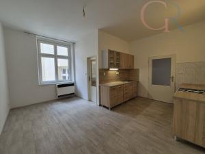 Pronájem bytu 2+kk, Plzeň - Vnitřní Město, Veleslavínova, 50 m2