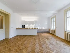 Pronájem bytu 2+kk, Praha - Josefov, Maiselova, 90 m2